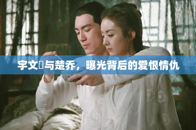 宇文玥與楚喬，曝光背后的愛(ài)恨情仇