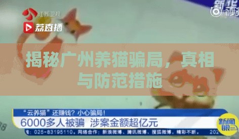 揭秘廣州養(yǎng)貓騙局，真相與防范措施