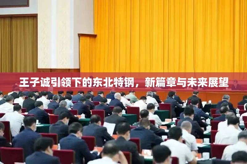 王子誠引領下的東北特鋼，新篇章與未來展望