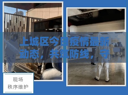 上城區(qū)今日疫情最新動態(tài)，共筑防線，守護綠城安寧