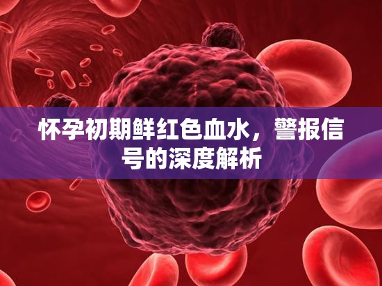 懷孕初期鮮紅色血水，警報信號的深度解析