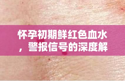懷孕初期鮮紅色血水，警報信號的深度解析