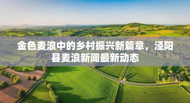 金色麥浪中的鄉(xiāng)村振興新篇章，涇陽縣麥浪新聞最新動(dòng)態(tài)