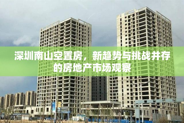 深圳南山空置房，新趨勢與挑戰(zhàn)并存的房地產(chǎn)市場觀察