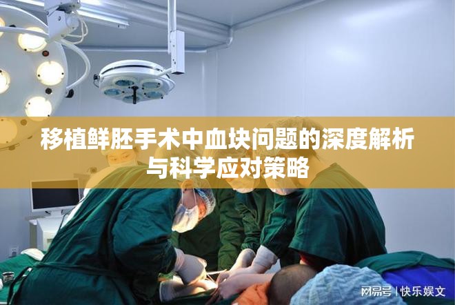 移植鮮胚手術(shù)中血塊問(wèn)題的深度解析與科學(xué)應(yīng)對(duì)策略