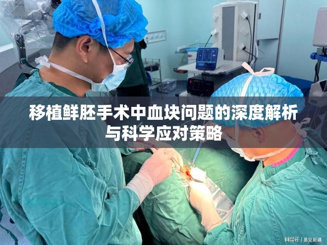 移植鮮胚手術(shù)中血塊問(wèn)題的深度解析與科學(xué)應(yīng)對(duì)策略