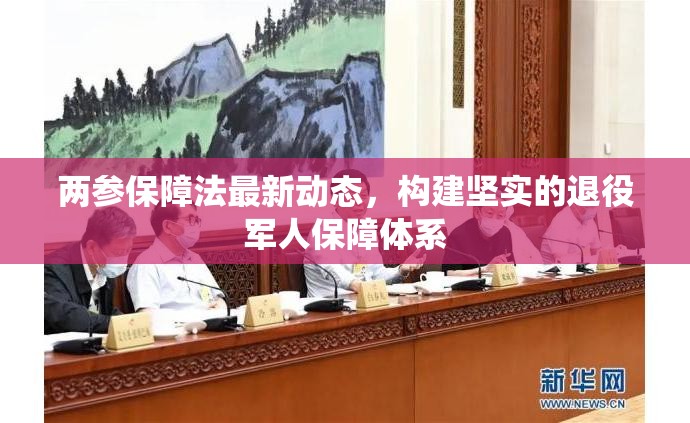 兩參保障法最新動(dòng)態(tài)，構(gòu)建堅(jiān)實(shí)的退役軍人保障體系