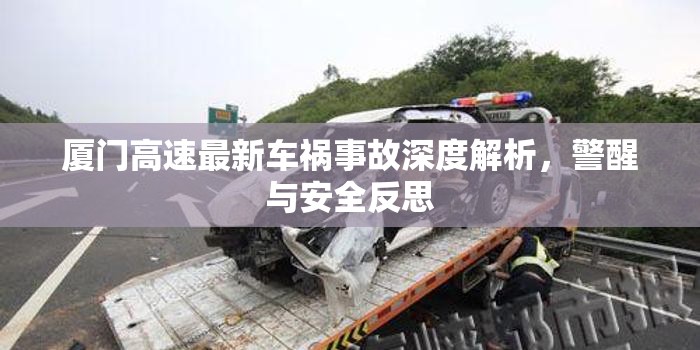 廈門高速最新車禍事故深度解析，警醒與安全反思