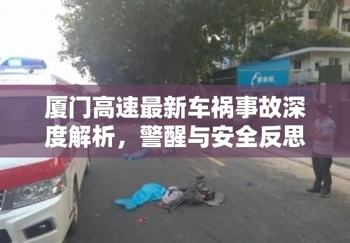 廈門高速最新車禍事故深度解析，警醒與安全反思