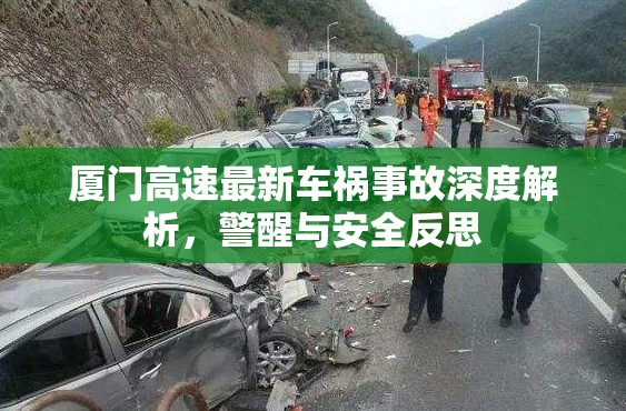 廈門高速最新車禍事故深度解析，警醒與安全反思