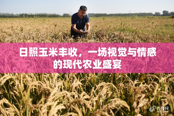 日照玉米豐收，一場(chǎng)視覺(jué)與情感的現(xiàn)代農(nóng)業(yè)盛宴