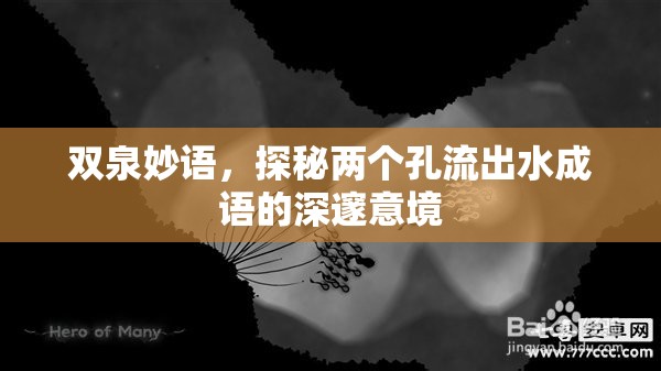 雙泉妙語，探秘兩個孔流出水成語的深邃意境