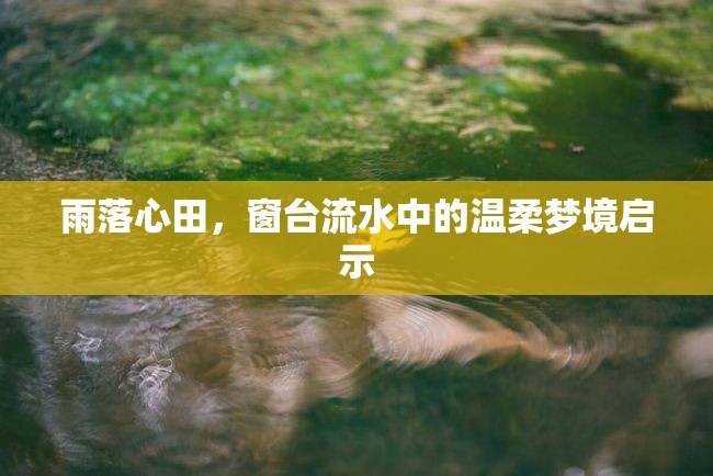 雨落心田，窗臺流水中的溫柔夢境啟示