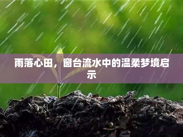 雨落心田，窗臺流水中的溫柔夢境啟示