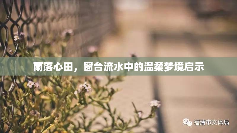 雨落心田，窗臺流水中的溫柔夢境啟示