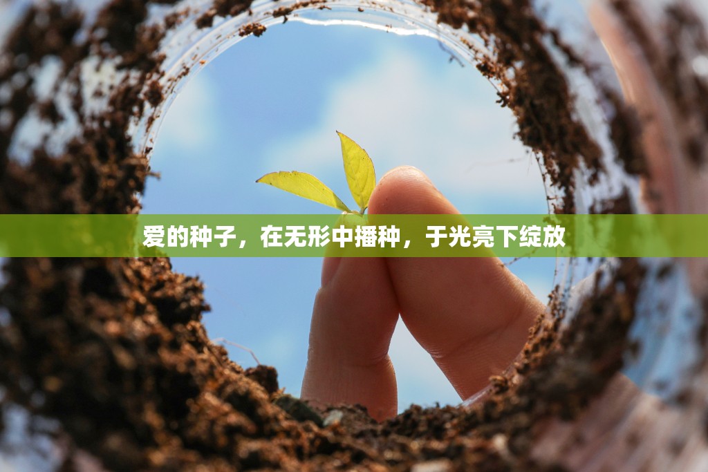愛(ài)的種子，在無(wú)形中播種，于光亮下綻放