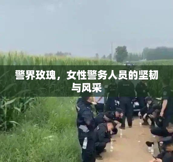 警界玫瑰，女性警務(wù)人員的堅韌與風(fēng)采