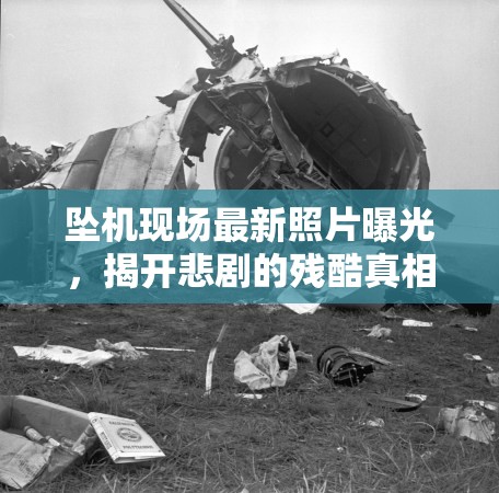 墜機現(xiàn)場最新照片曝光，揭開悲劇的殘酷真相