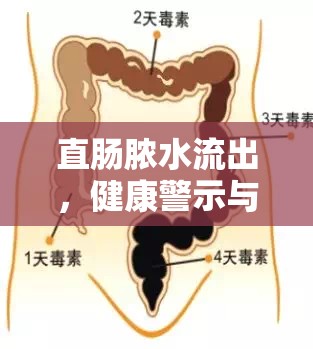 直腸膿水流出，健康警示與治療深度解析
