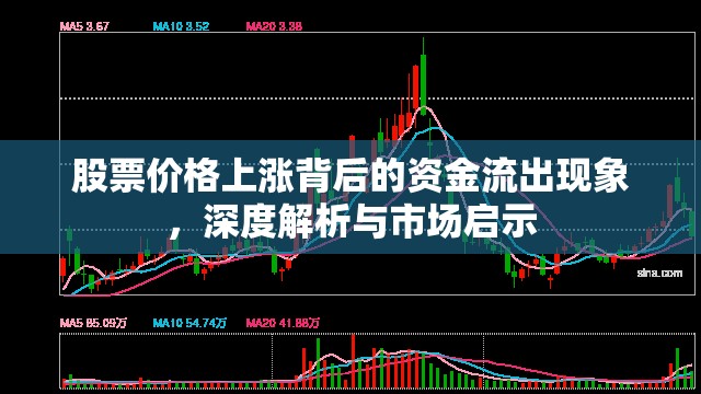 股票價格上漲背后的資金流出現(xiàn)象，深度解析與市場啟示