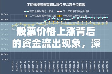 股票價格上漲背后的資金流出現(xiàn)象，深度解析與市場啟示