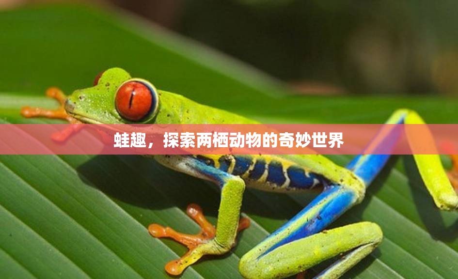蛙趣，探索兩棲動物的奇妙世界