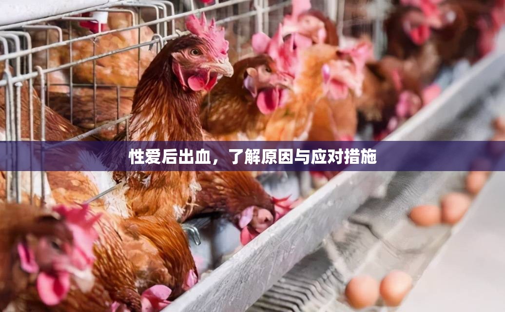 性愛后出血，了解原因與應(yīng)對(duì)措施