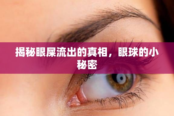 揭秘眼屎流出的真相，眼球的小秘密