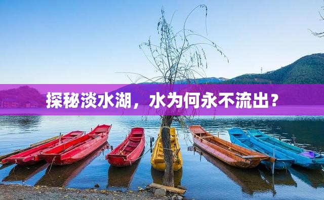 探秘淡水湖，水為何永不流出？