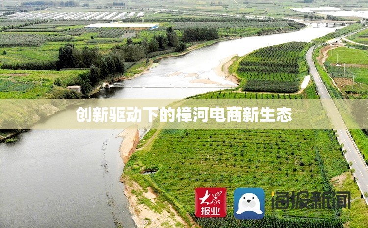 創(chuàng)新驅(qū)動(dòng)下的樟河電商新生態(tài)