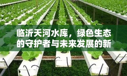 臨沂天河水庫，綠色生態(tài)的守護(hù)者與未來發(fā)展的新引擎