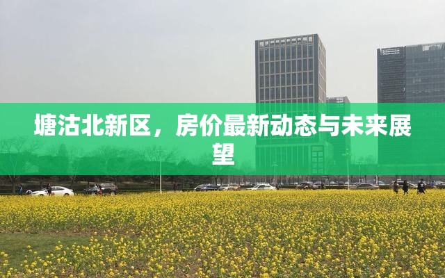 塘沽北新區(qū)，房價(jià)最新動(dòng)態(tài)與未來展望