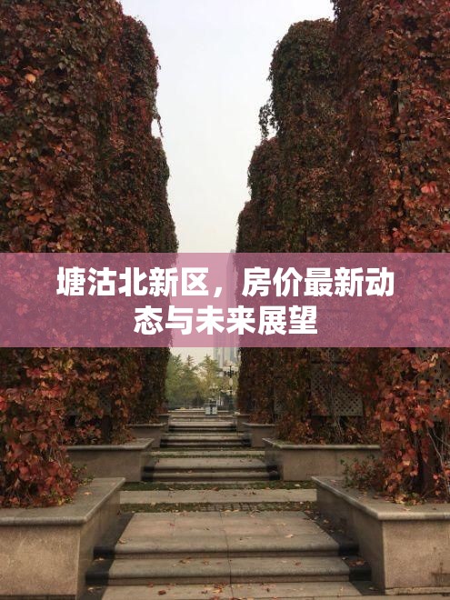 塘沽北新區(qū)，房價(jià)最新動(dòng)態(tài)與未來展望