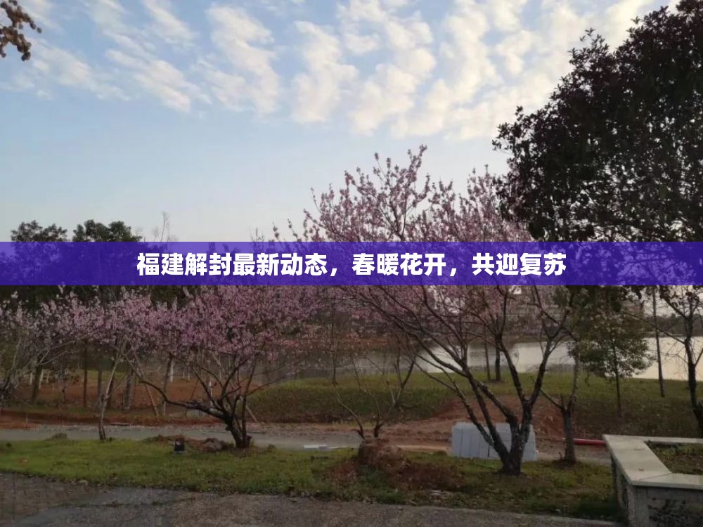 福建解封最新動(dòng)態(tài)，春暖花開(kāi)，共迎復(fù)蘇