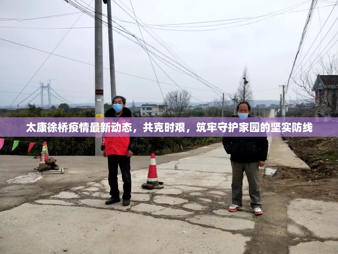 太康徐橋疫情最新動(dòng)態(tài)，共克時(shí)艱，筑牢守護(hù)家園的堅(jiān)實(shí)防線