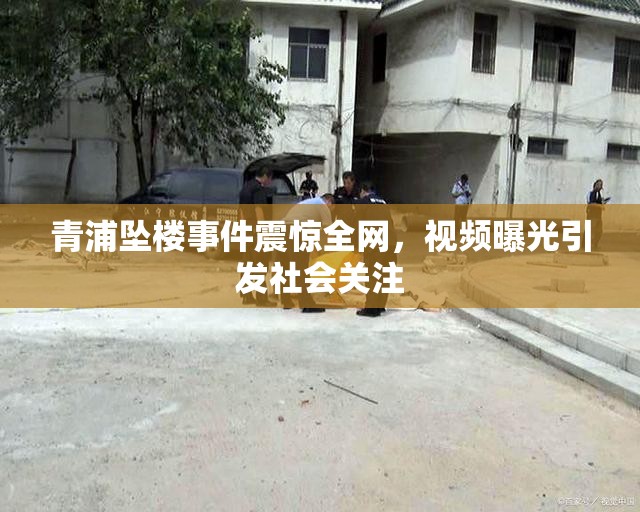 青浦墜樓事件震驚全網(wǎng)，視頻曝光引發(fā)社會關注