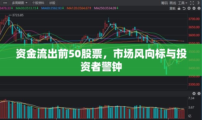 資金流出前50股票，市場風向標與投資者警鐘
