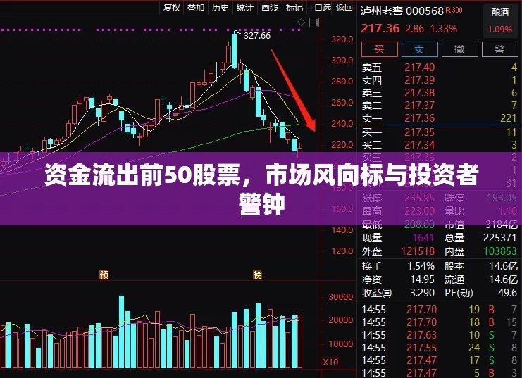 資金流出前50股票，市場風向標與投資者警鐘