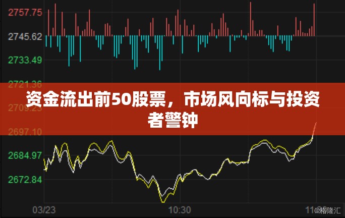 資金流出前50股票，市場風向標與投資者警鐘