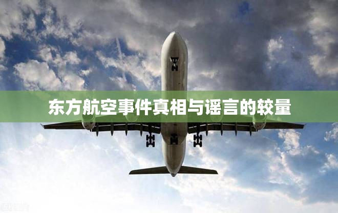 東方航空事件真相與謠言的較量