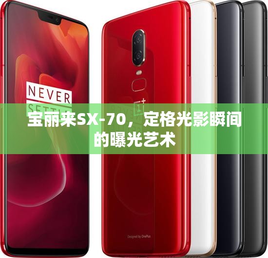 寶麗來SX-70，定格光影瞬間的曝光藝術(shù)