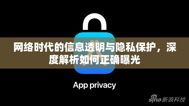 網(wǎng)絡(luò)時(shí)代的信息透明與隱私保護(hù)，深度解析如何正確曝光