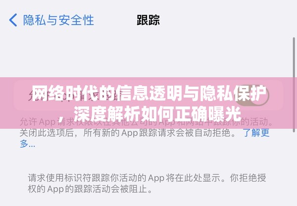 網(wǎng)絡(luò)時(shí)代的信息透明與隱私保護(hù)，深度解析如何正確曝光