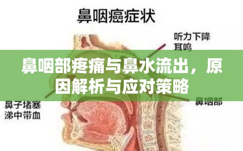 鼻咽部疼痛與鼻水流出，原因解析與應(yīng)對策略