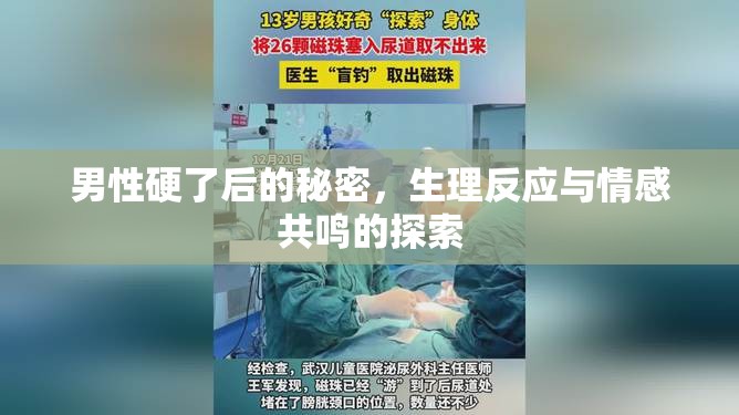 男性硬了后的秘密，生理反應(yīng)與情感共鳴的探索