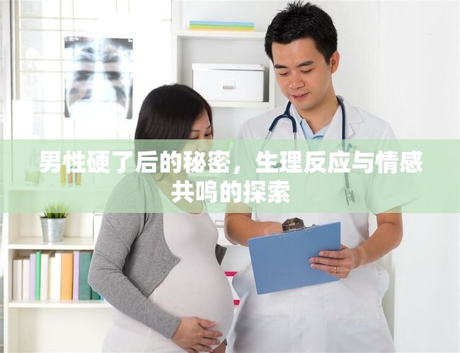 男性硬了后的秘密，生理反應(yīng)與情感共鳴的探索