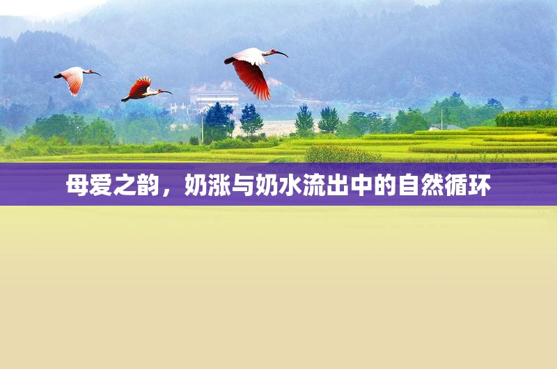 母愛之韻，奶漲與奶水流出中的自然循環(huán)