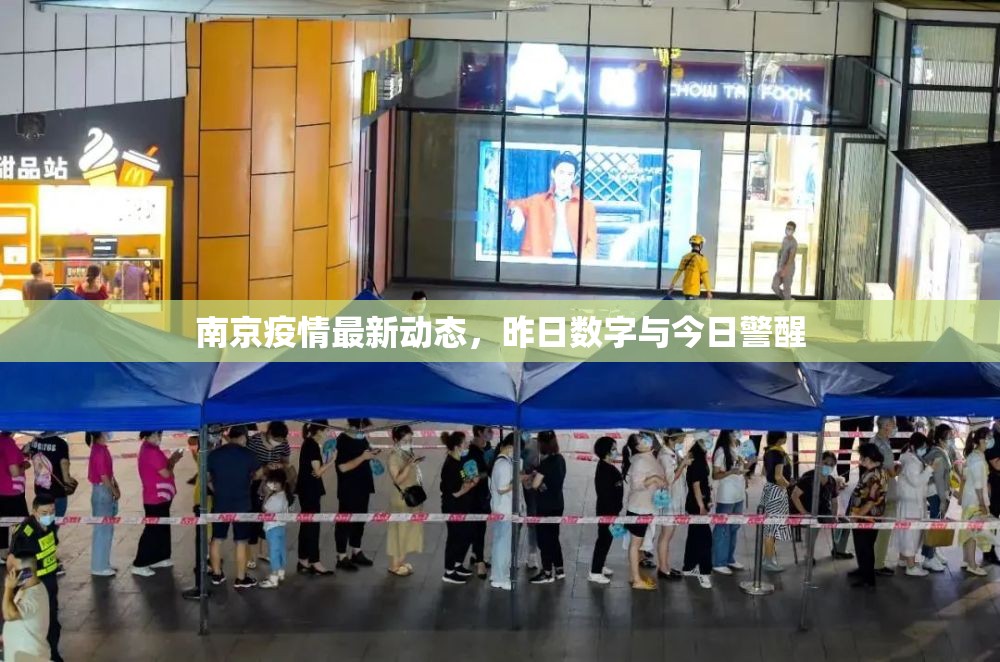 南京疫情最新動態(tài)，昨日數(shù)字與今日警醒