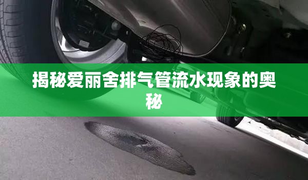 揭秘愛麗舍排氣管流水現(xiàn)象的奧秘
