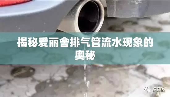 揭秘愛麗舍排氣管流水現(xiàn)象的奧秘